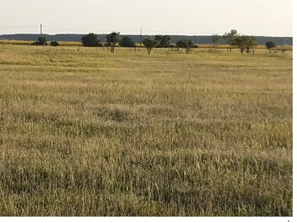 teren Bucuresti 500 mp Giurgiului langa Dedeman img 5